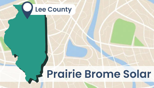 Praire Brome