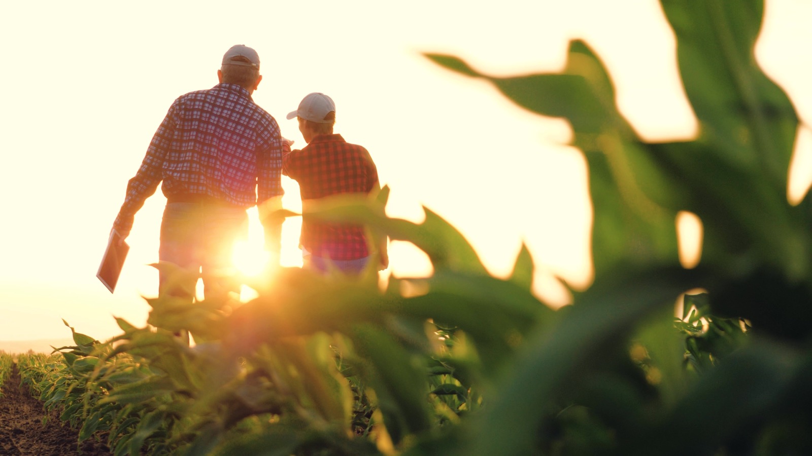Two people on a field