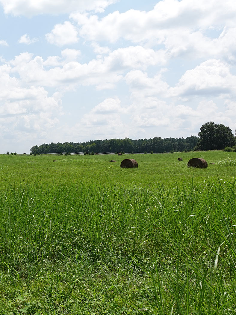 Solar Panels on a field
