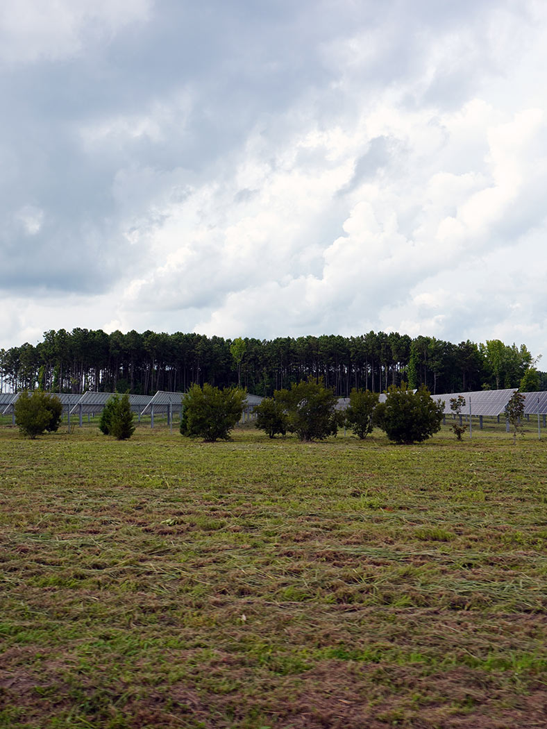 Solar Panels on a field