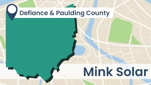 Mink