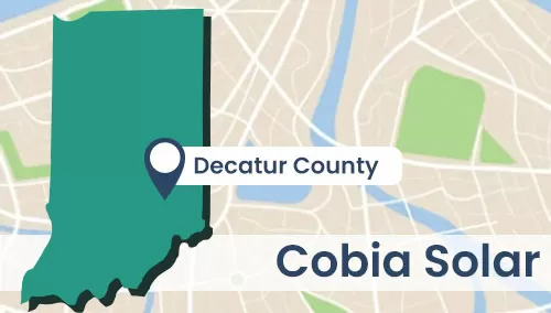 Cobia