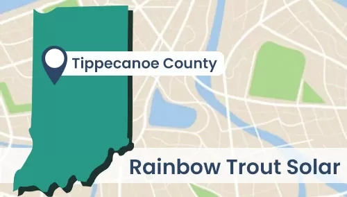 Rainbow Trout