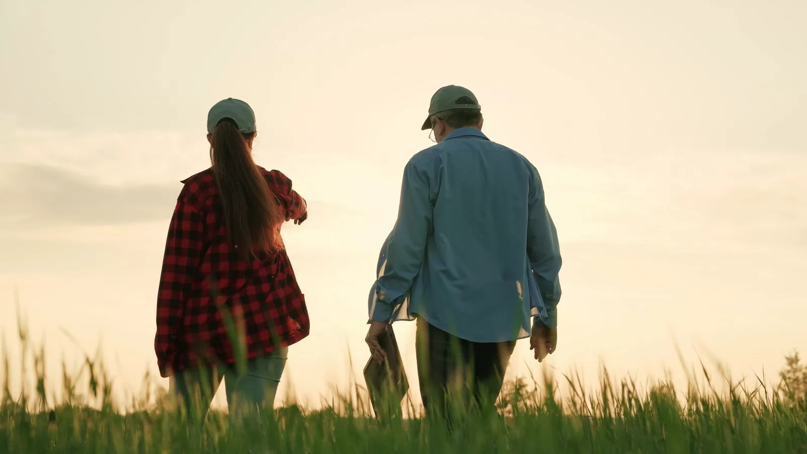 Two people walking in a field