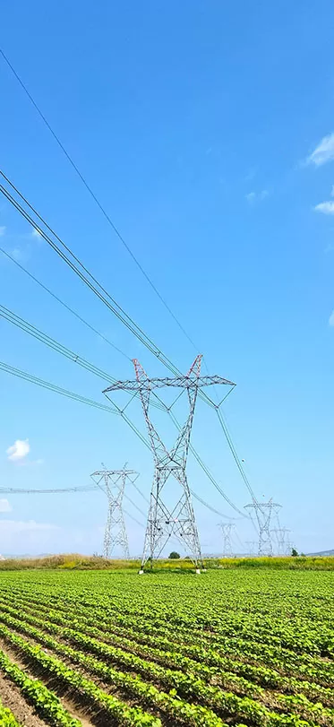 Transmission Grid