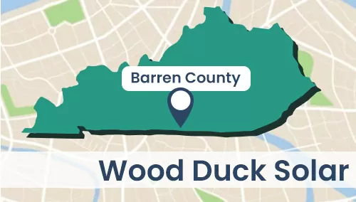 Wood Duck