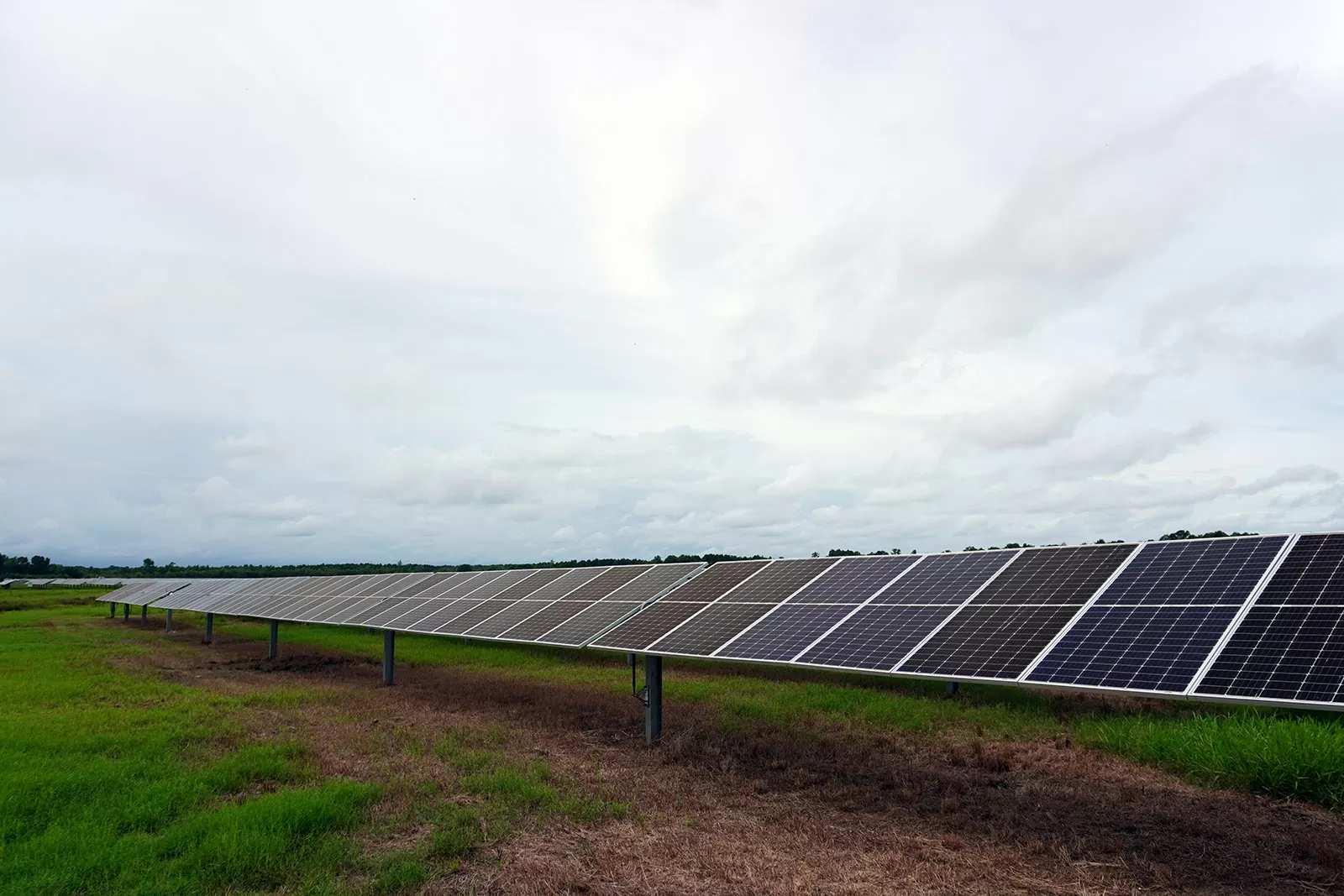 Solar Panels on field